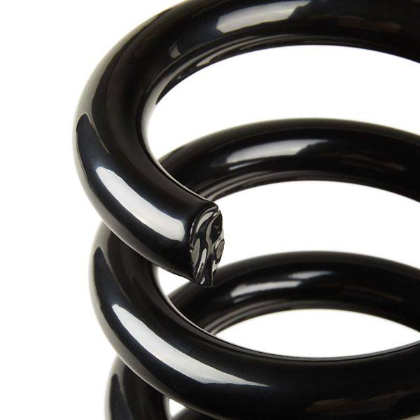 Suspension Spring