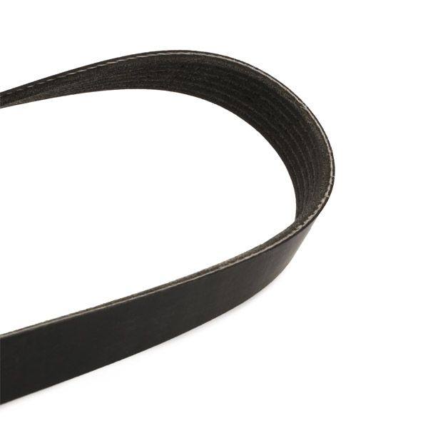 Water Pump + V-ribbed Belt Kit