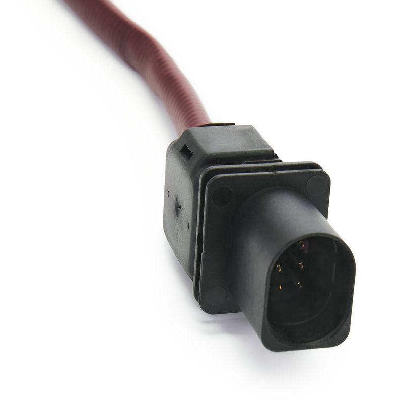 Oxygen Sensor