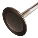 Intake Valve