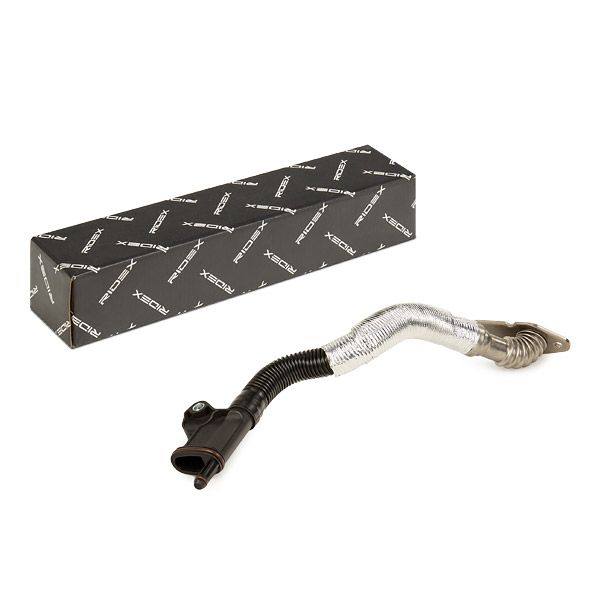 Hose, crankcase ventilation