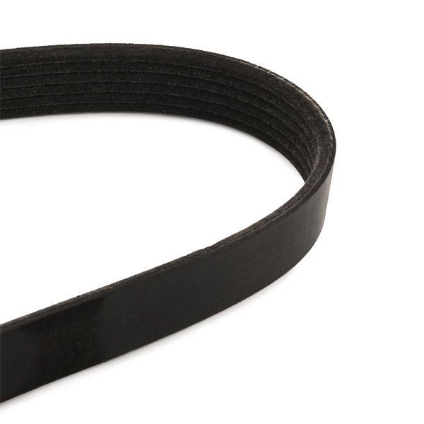 V-ribbed Belt Set