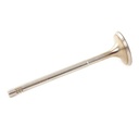 Intake Valve