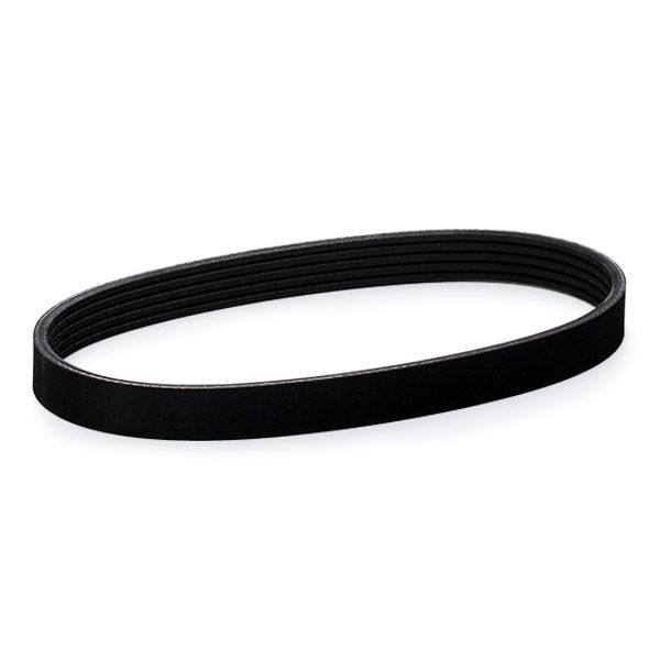 V-ribbed Belt