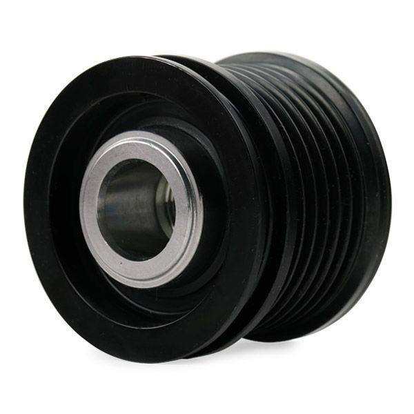 Alternator Freewheel Clutch