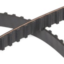 Timing Belt