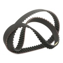 Timing Belt