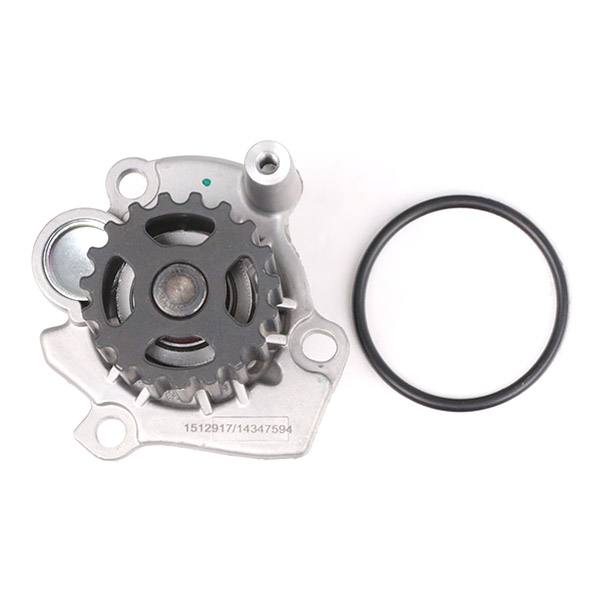 Water Pump & Timing Belt Kit