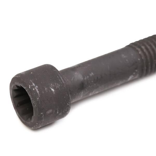Gasket, cylinder head