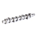 Camshaft Kit