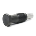 Tensioner, timing chain