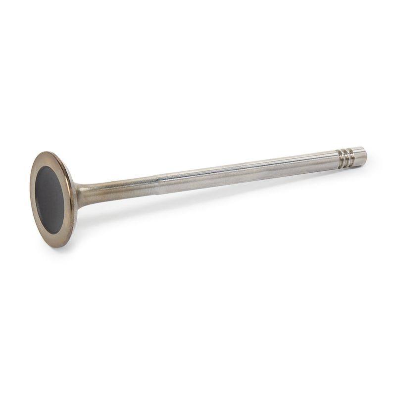 Intake Valve