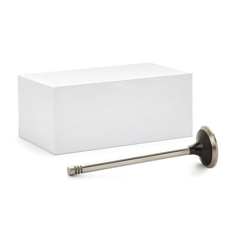 Exhaust Valve