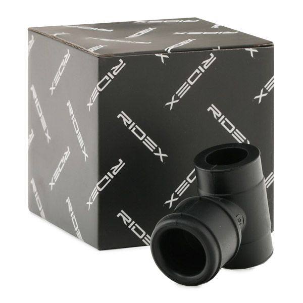 Hose, crankcase ventilation