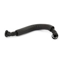 Hose, crankcase ventilation