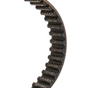 Timing Belt