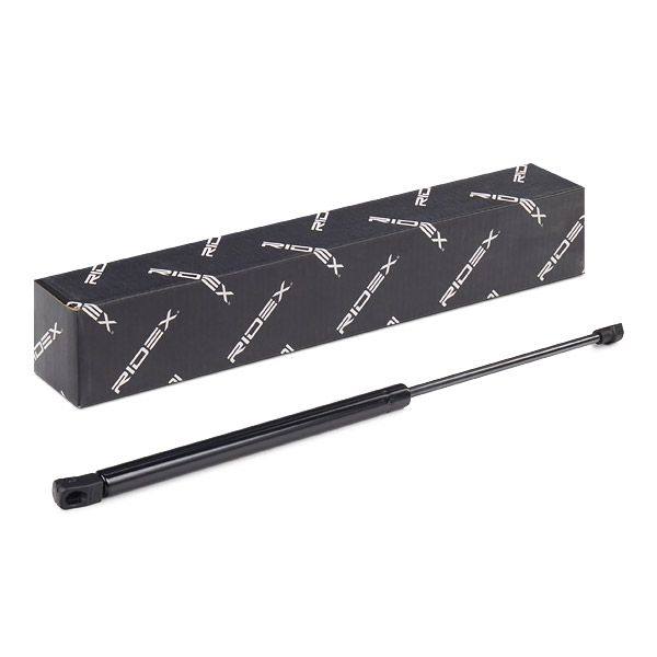 Gas Spring, boot/cargo area