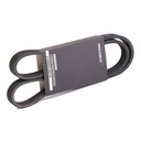 V-ribbed Belt