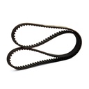 Timing Belt