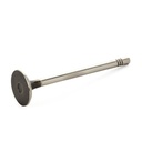 Exhaust Valve