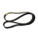 Timing Belt