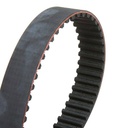 Timing Belt