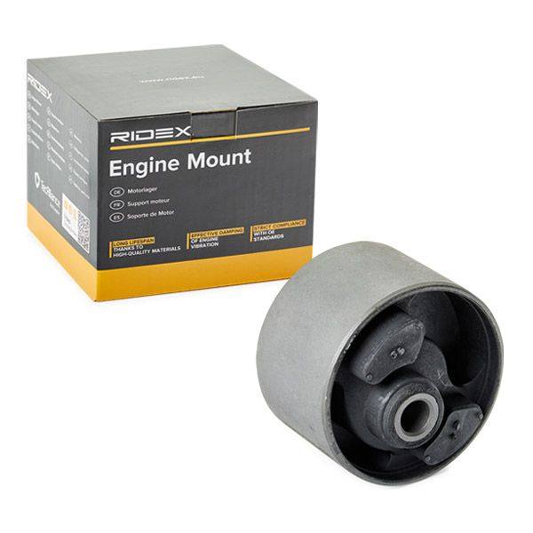 Mounting, engine