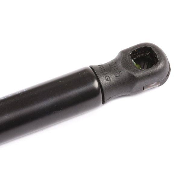 Gas Spring, boot/cargo area