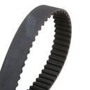 Timing Belt