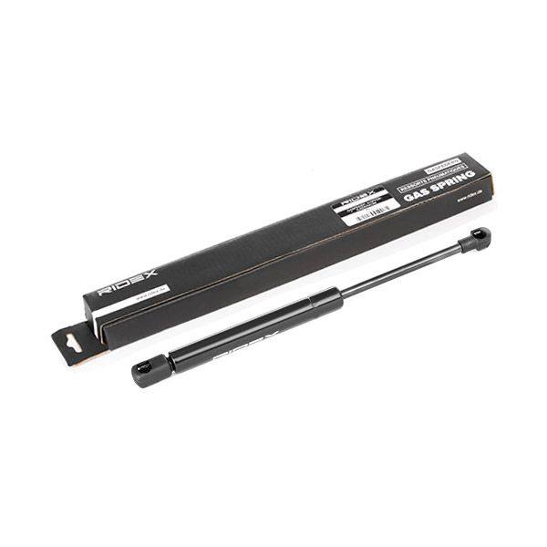 Gas Spring, boot/cargo area