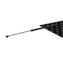 Gas Spring, bonnet