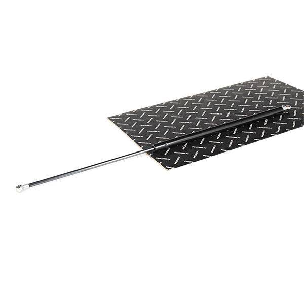 Gas Spring, bonnet