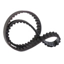 Timing Belt