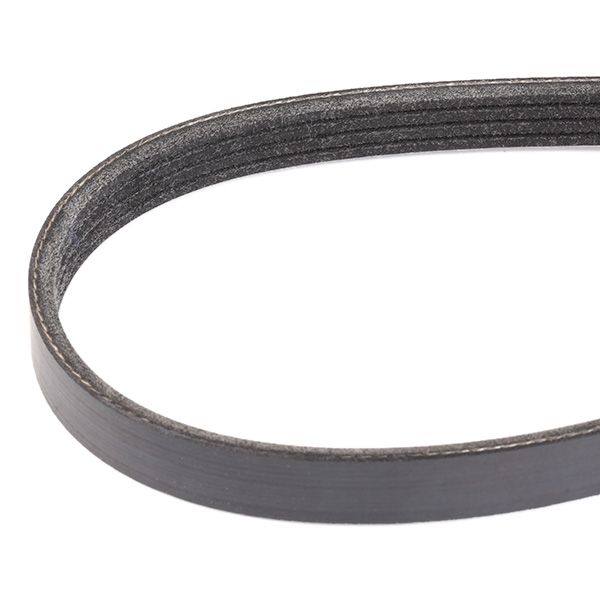 V-ribbed Belt