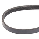 V-ribbed Belt