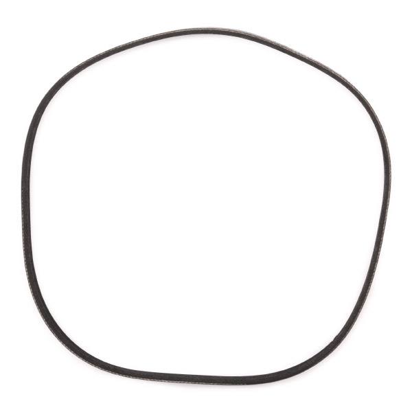 V-ribbed Belt