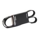 V-ribbed Belt