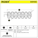 V-ribbed Belt