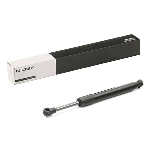 Gas Spring, boot/cargo area