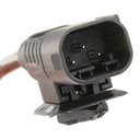 Air Suspension Strut
