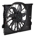 Fan, engine cooling