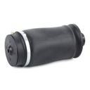 Air Suspension Strut