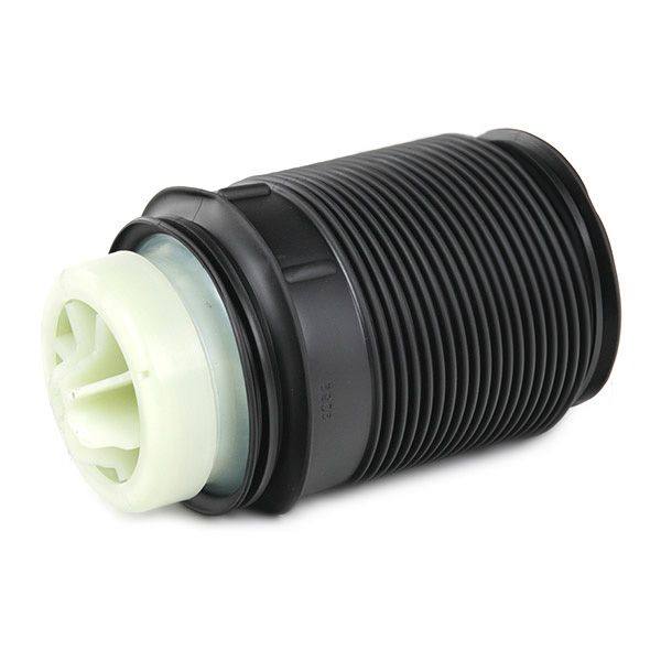 Air Spring, suspension