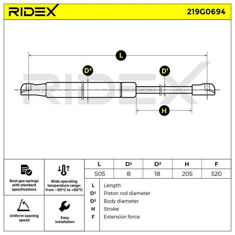 Gas Spring, boot/cargo area