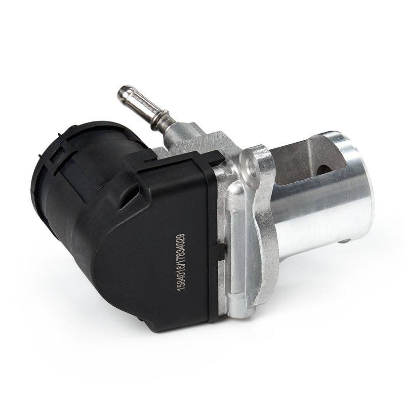 EGR Module