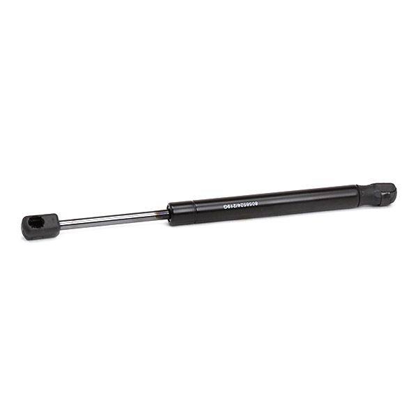 Gas Spring, boot/cargo area