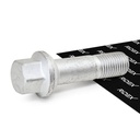 Wheel Bolt