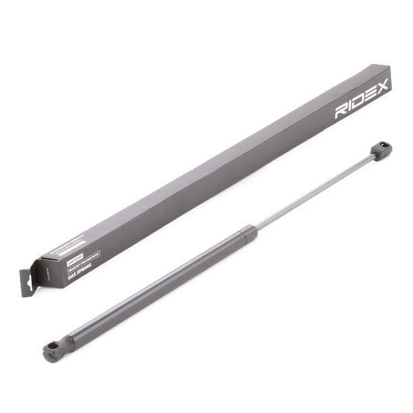 Gas Spring, boot/cargo area