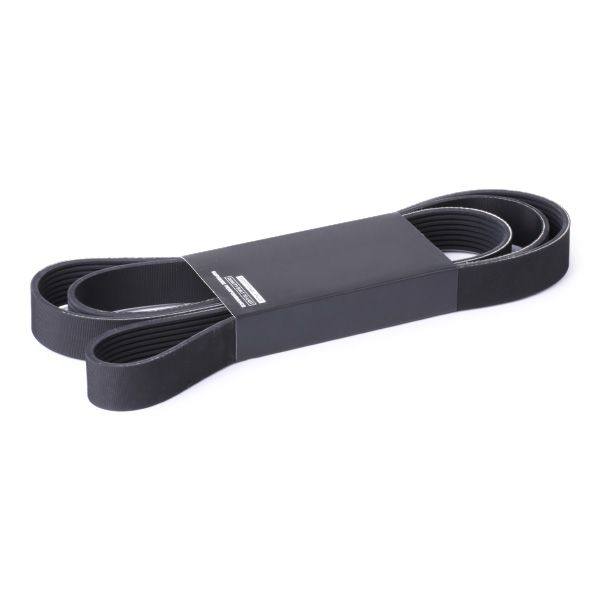 V-ribbed Belt