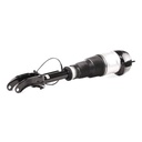 Air Suspension Strut